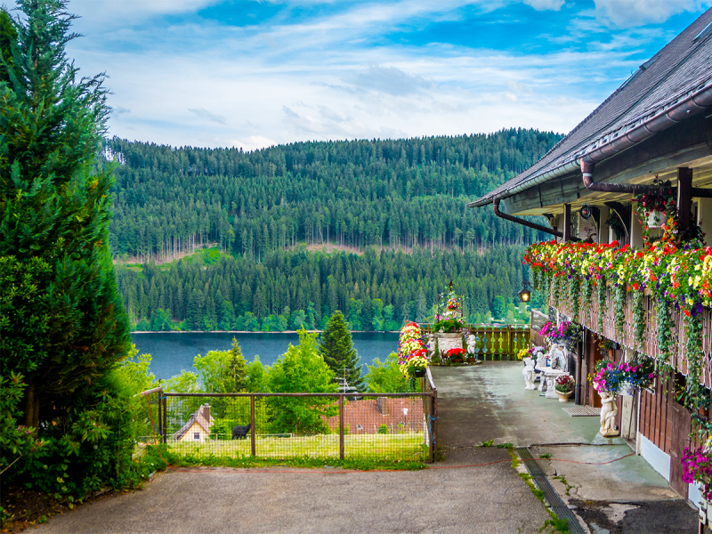 Black Forest Holidays for the Mature Solo Traveller